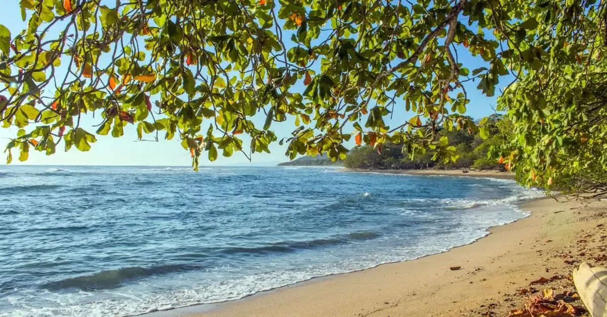 Discussion sur le Costa Rica : Voyage, nature et conseils